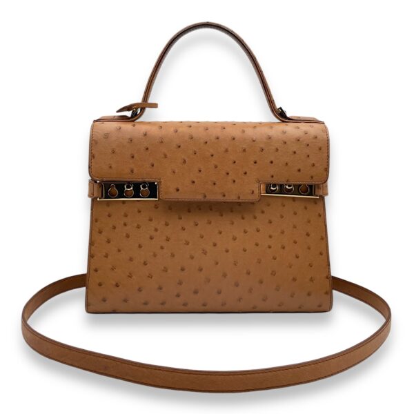 Tempete MM Brown Top Handle Bag in Ostrich, Gold hardware - Image 8