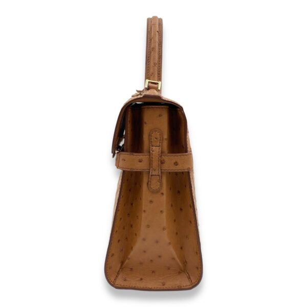 Tempete MM Brown Top Handle Bag in Ostrich, Gold hardware - Image 5