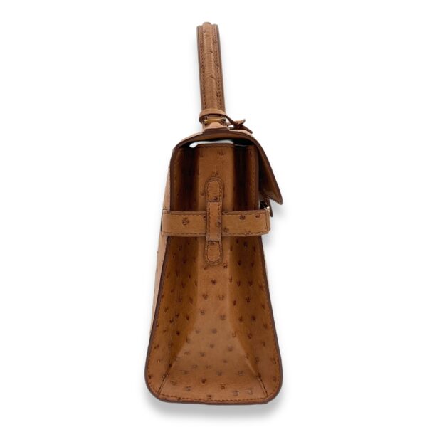 Tempete MM Brown Top Handle Bag in Ostrich, Gold hardware - Image 4