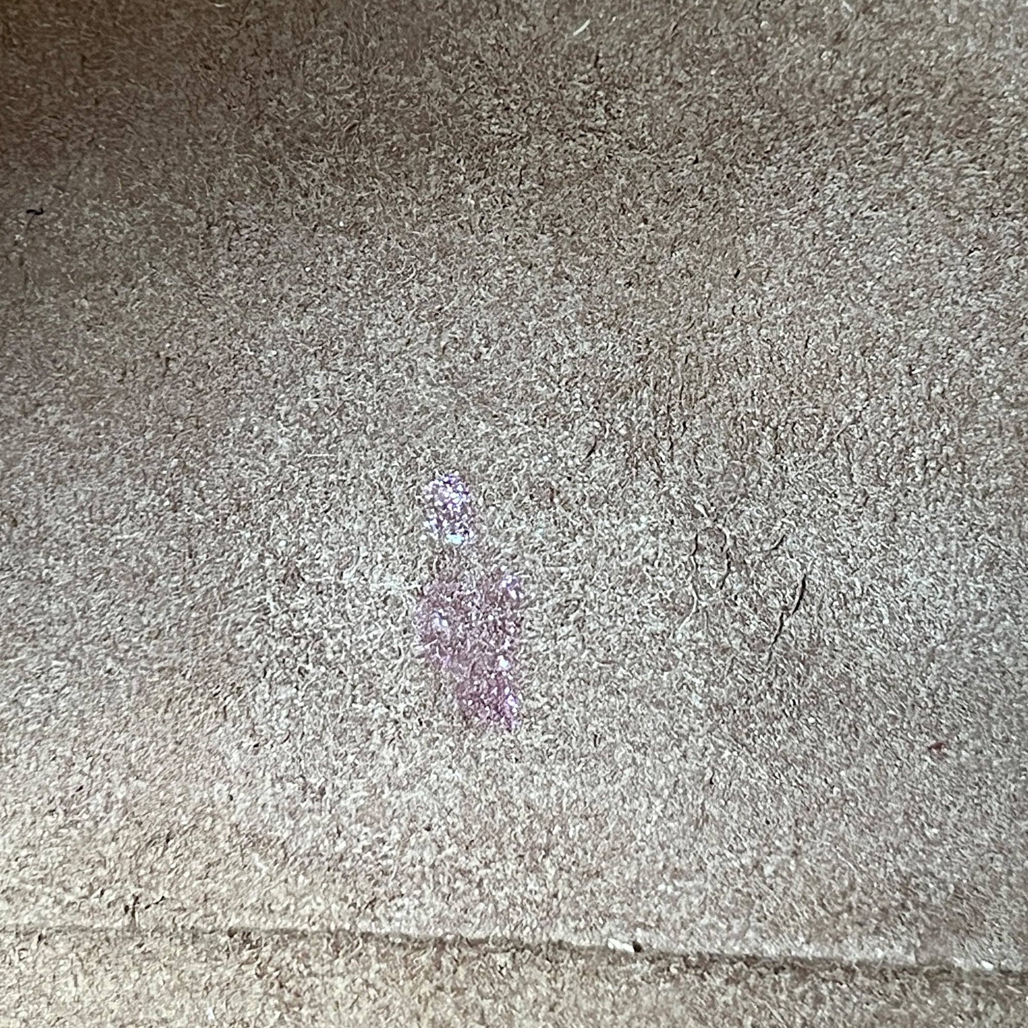 GG supreme Crossbody Bag Brown in Coated Canvas , Gold Hardware - Image 14