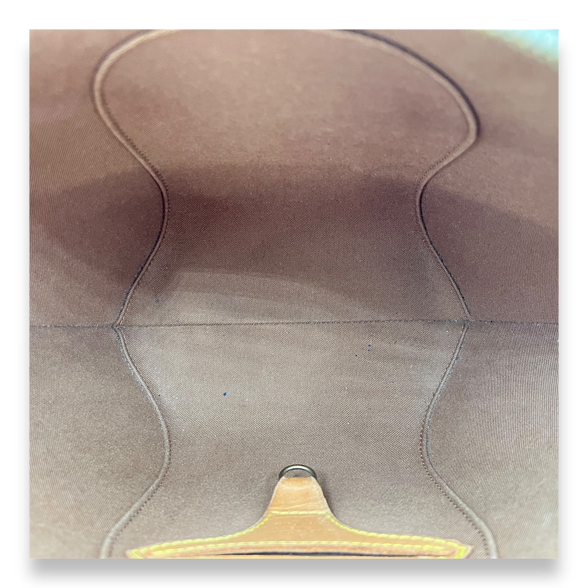 Ellipse Top Handle Bag Brown in Monogram Coated Canvas, Gold hardware - Image 14