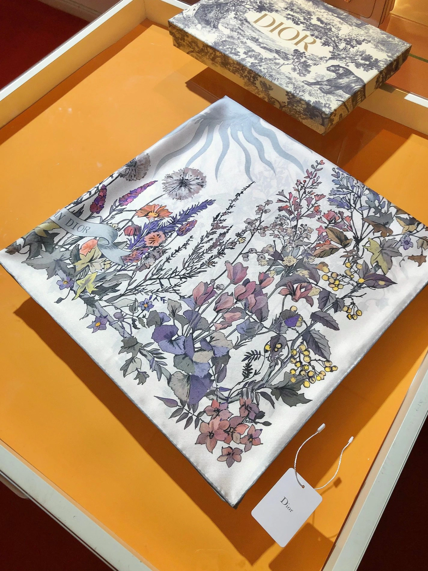 Comfortable 7489 Christian Dior Silk Squares For Women - Image 4