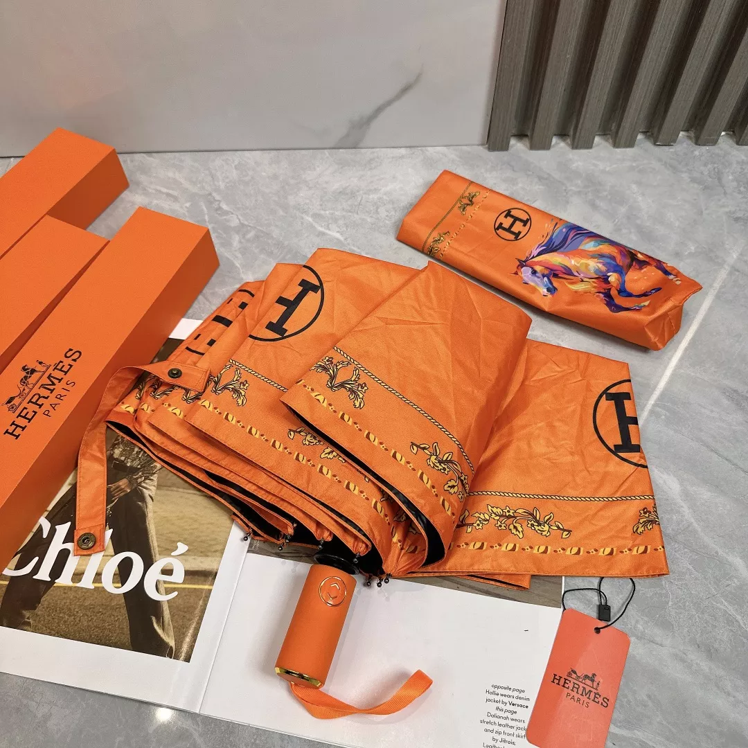 Hermes Umbrellas Flexible 1471 - Image 3