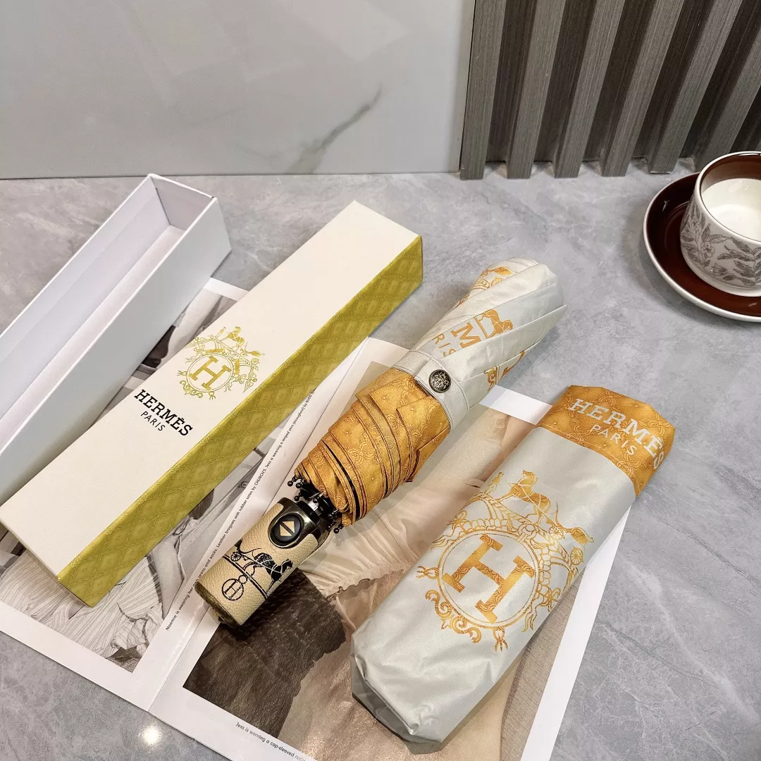 Hermes Umbrellas Trendsetting 1816 - Image 7