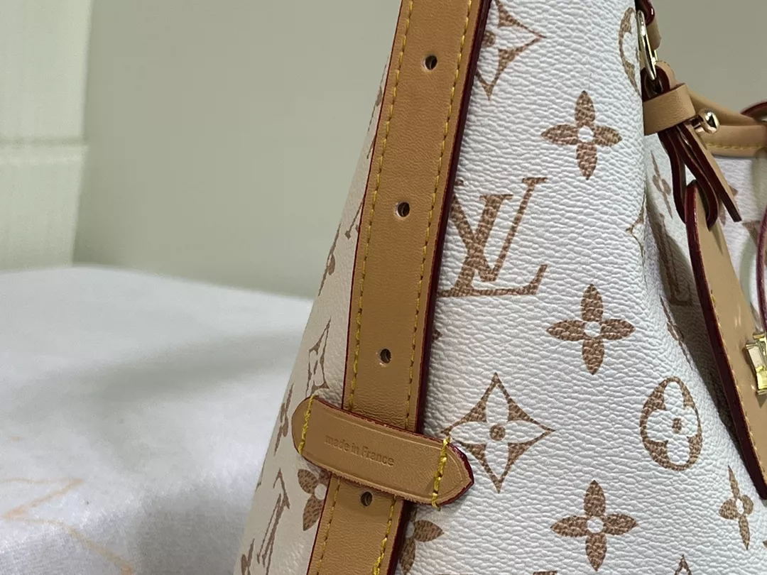 Louis Vuitton AAA Quality Shoulder Bags For Women Soft 6000 - Image 5