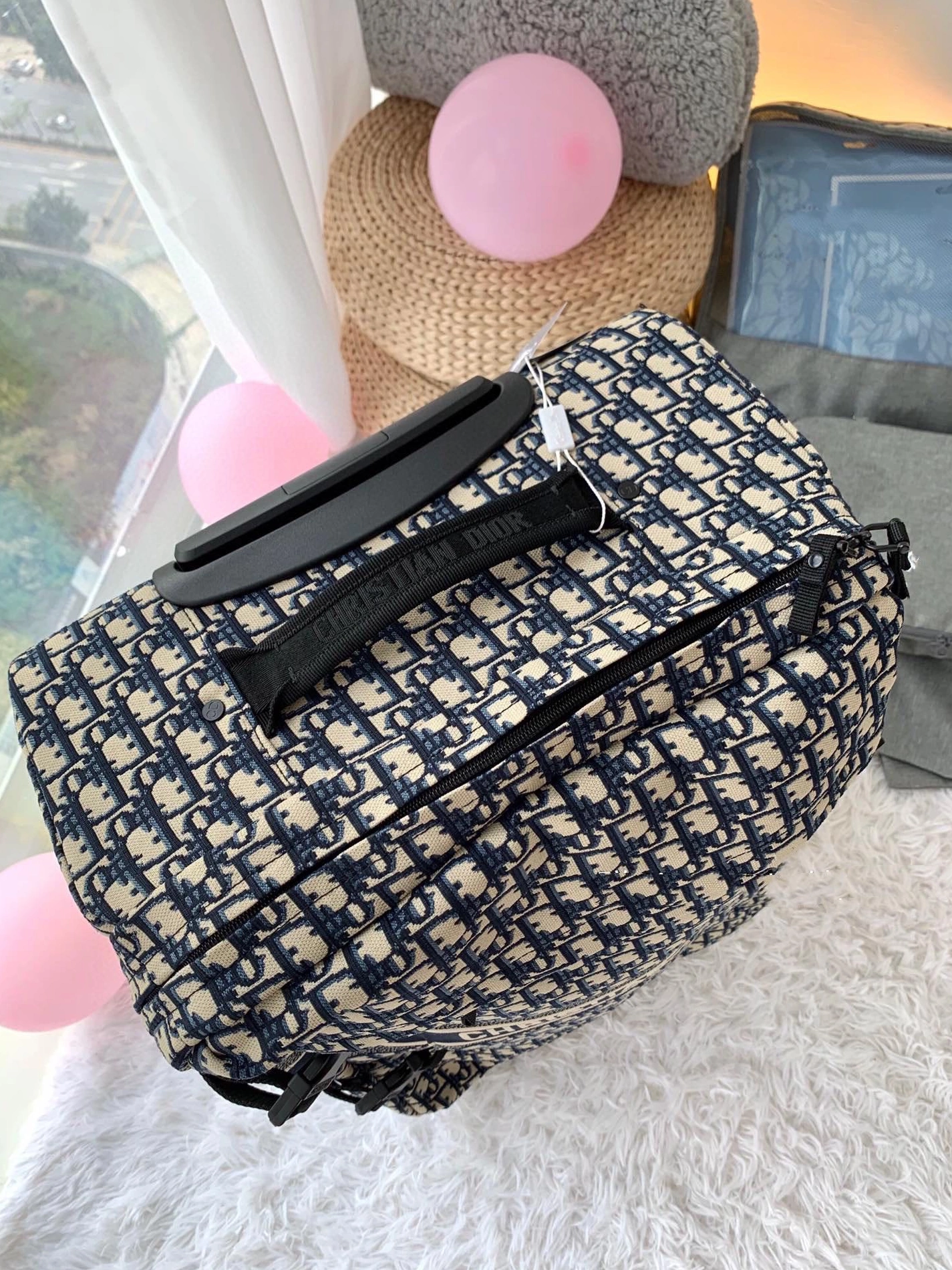 ModernLook 739 Christian Dior Luggage and Duffle - Image 4