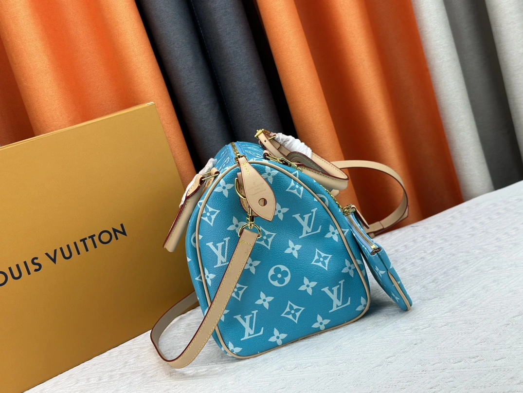 TopPick 174 Louis Vuitton AAA Quality Handbags For Women