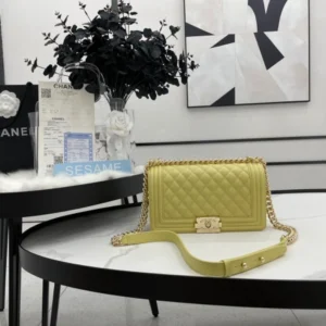 AllSeason CHANEL BOY BAG 227