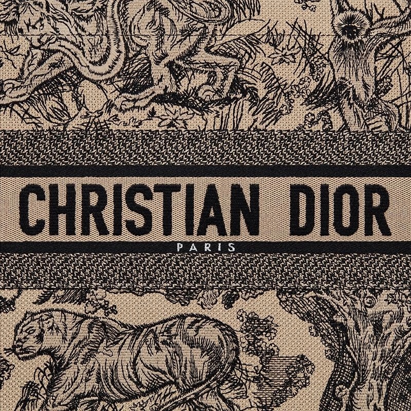 Dior Book Tote Toile De Jouy Motif Canvas Beige - Image 5